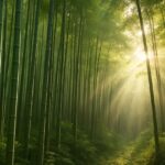 Dense bamboo forest with sunlight filtering through, symbolizing sustainable textiles.